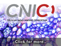 Click to access CNIC